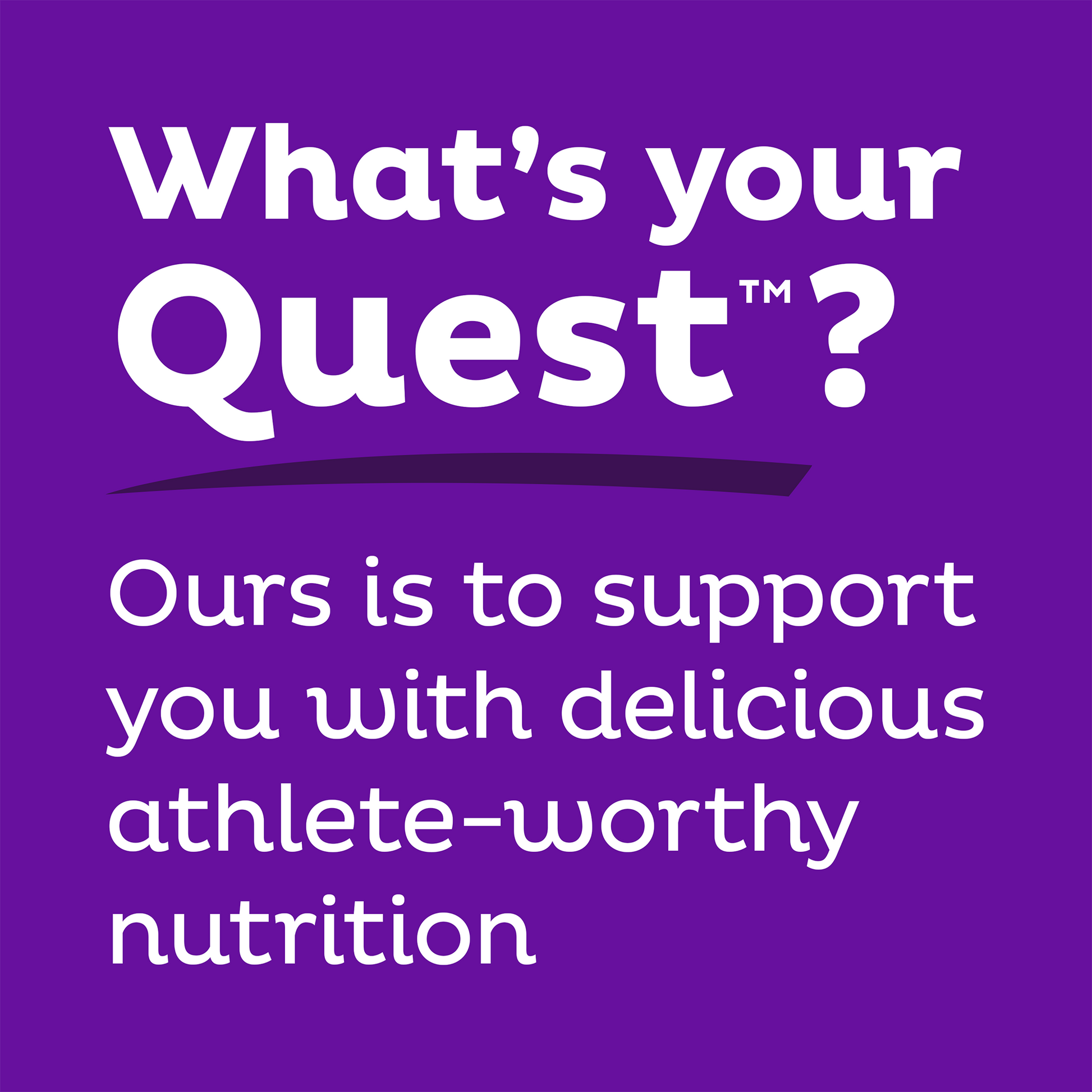 double-chocolate-chunk-protein-bars-j2 qst-000241_double-chocolate-chunk-protein-bars_9.png